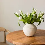 Tsimiski View Citycenter Boutique - By Nuvia Domus * 塞萨洛尼基